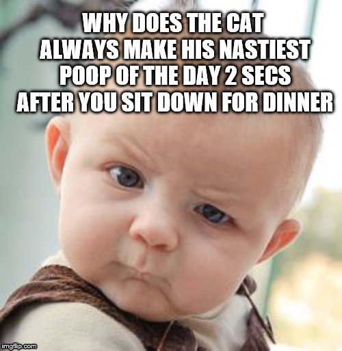 baby wanna know | WHY DOES THE CAT ALWAYS MAKE HIS NASTIEST POOP OF THE DAY 2 SECS AFTER YOU SIT DOWN FOR DINNER | image tagged in memes,cats | made w/ Imgflip meme maker