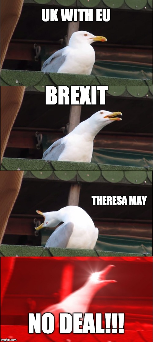 Inhaling Seagull | UK WITH EU; BREXIT; THERESA MAY; NO DEAL!!! | image tagged in memes,inhaling seagull | made w/ Imgflip meme maker