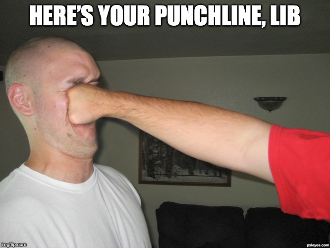 Face punch | HERE’S YOUR PUNCHLINE, LIB | image tagged in face punch | made w/ Imgflip meme maker