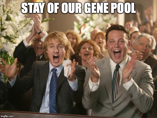 congratulation | STAY OF OUR GENE POOL | image tagged in congratulation | made w/ Imgflip meme maker