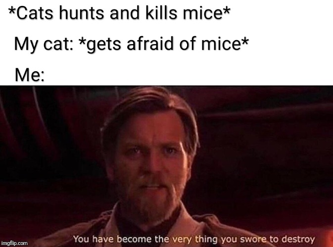 You have become the very thing you swore to destroy | image tagged in you have become the very thing you swore to destroy,obi wan kenobi,star wars,cats,cat | made w/ Imgflip meme maker
