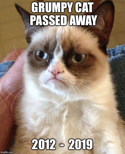 Grumpy Cat | GRUMPY CAT PASSED AWAY; 2012  -  2019 | image tagged in memes,grumpy cat | made w/ Imgflip meme maker