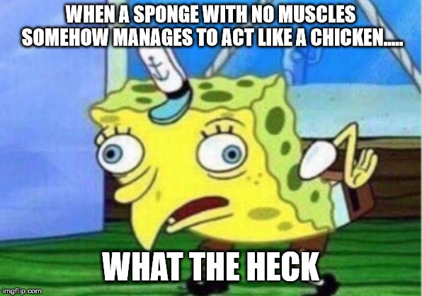 When a brainless sponge learns how to move | WHEN A SPONGE WITH NO MUSCLES SOMEHOW MANAGES TO ACT LIKE A CHICKEN..... WHAT THE HECK | image tagged in memes,mocking spongebob | made w/ Imgflip meme maker