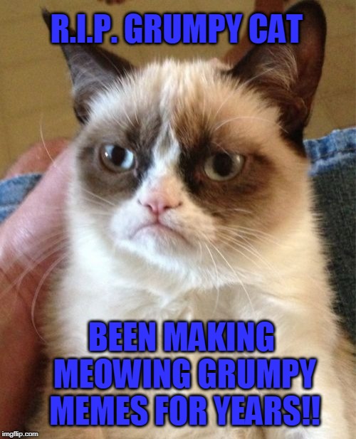 Grumpy Cat | R.I.P. GRUMPY CAT; BEEN MAKING MEOWING GRUMPY MEMES FOR YEARS!! | image tagged in memes,grumpy cat | made w/ Imgflip meme maker