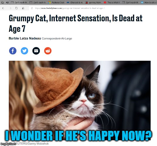 R.I.P. Grumpy Cat | I WONDER IF HE'S HAPPY NOW? | image tagged in grumpy cat dead,mxm,memes | made w/ Imgflip meme maker