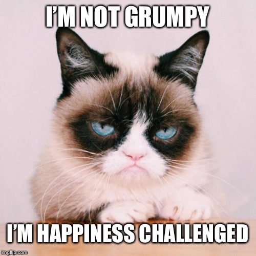 grumpy cat again | I’M NOT GRUMPY; I’M HAPPINESS CHALLENGED | image tagged in grumpy cat again | made w/ Imgflip meme maker