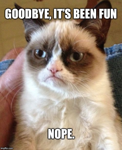 So long, Grumpy Cat.  RIP 5/14/2019 | GOODBYE, IT’S BEEN FUN; NOPE. | image tagged in memes,grumpy cat,sad,cat | made w/ Imgflip meme maker