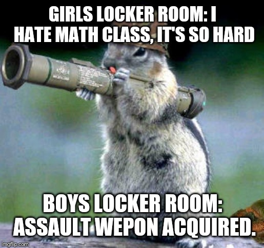Bazooka Squirrel | GIRLS LOCKER ROOM: I HATE MATH CLASS, IT'S SO HARD; BOYS LOCKER ROOM: ASSAULT WEPON ACQUIRED. | image tagged in memes,bazooka squirrel | made w/ Imgflip meme maker