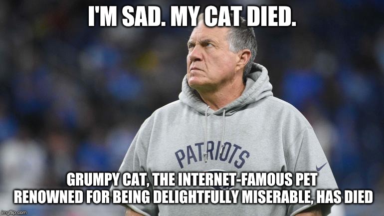 I'M SAD. MY CAT DIED. GRUMPY CAT, THE INTERNET-FAMOUS PET RENOWNED FOR BEING DELIGHTFULLY MISERABLE, HAS DIED | image tagged in new england patriots,bill belichick,belichick,nfl football,grumpy cat | made w/ Imgflip meme maker