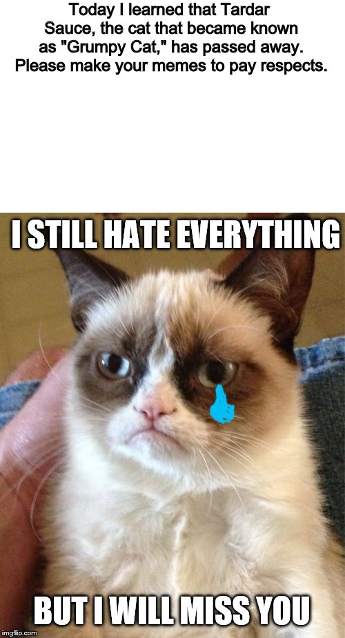 Grumpy Cat | Today I learned that Tardar Sauce, the cat that became known as "Grumpy Cat," has passed away. Please make your memes to pay respects. I STILL HATE EVERYTHING; BUT I WILL MISS YOU | image tagged in memes,grumpy cat | made w/ Imgflip meme maker