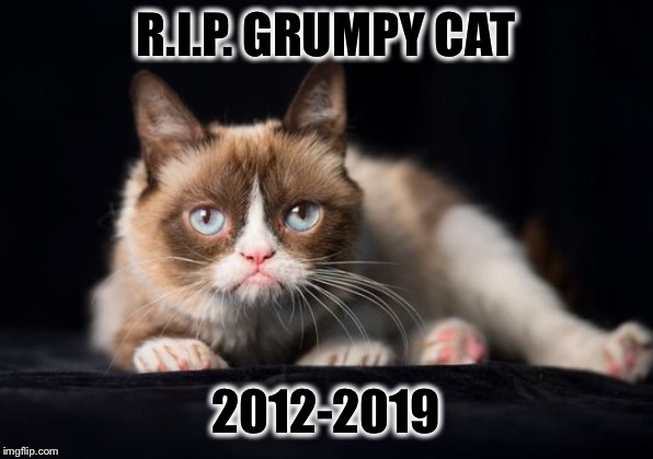  R.I.P. GRUMPY CAT; 2012-2019 | image tagged in memes,funny,grumpy cat,rip | made w/ Imgflip meme maker