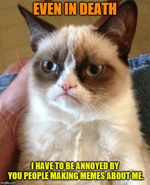 R.I.P. Grumpy Cat | EVEN IN DEATH; I HAVE TO BE ANNOYED BY YOU PEOPLE MAKING MEMES ABOUT ME. | image tagged in memes,grumpy cat,rip,can't believe there are still new memes about this cat | made w/ Imgflip meme maker