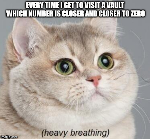 Heavy Breathing Cat | EVERY TIME I GET TO VISIT A VAULT WHICH NUMBER IS CLOSER AND CLOSER TO ZERO | image tagged in memes,heavy breathing cat,fallout,gaming | made w/ Imgflip meme maker