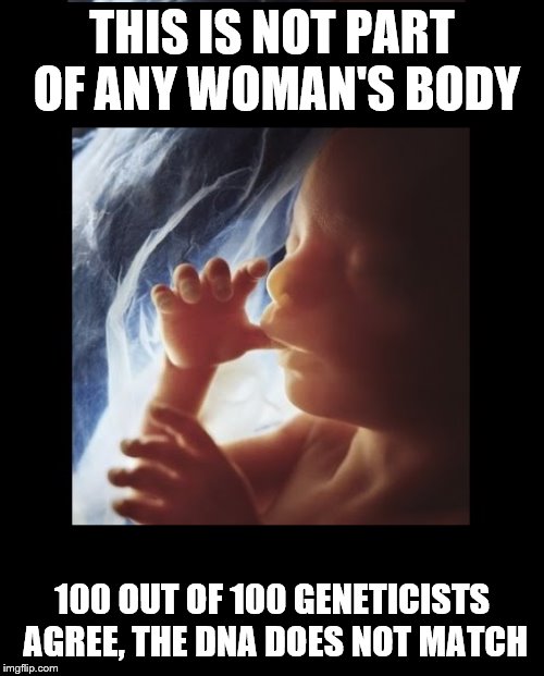 So, which part? A foot? A lung? An elbow? | THIS IS NOT PART OF ANY WOMAN'S BODY; 100 OUT OF 100 GENETICISTS AGREE, THE DNA DOES NOT MATCH | image tagged in baby in womb,the truth,truth hurts,memes | made w/ Imgflip meme maker