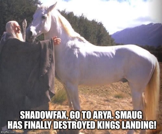 SHADOWFAX, GO TO ARYA. SMAUG HAS FINALLY DESTROYED KINGS LANDING! | image tagged in nerd | made w/ Imgflip meme maker