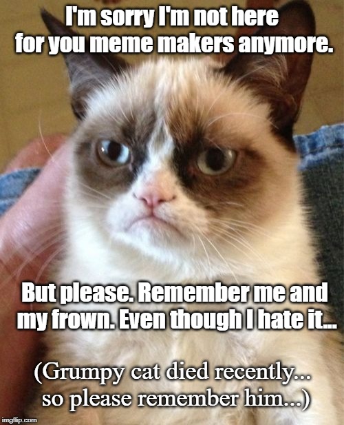 Rest In Peace Grumpy Cat (THIS IS NOT A JOKE, LOOK IT UP) | I'm sorry I'm not here for you meme makers anymore. But please. Remember me and my frown. Even though I hate it... (Grumpy cat died recently... so please remember him...) | image tagged in memes,grumpy cat | made w/ Imgflip meme maker
