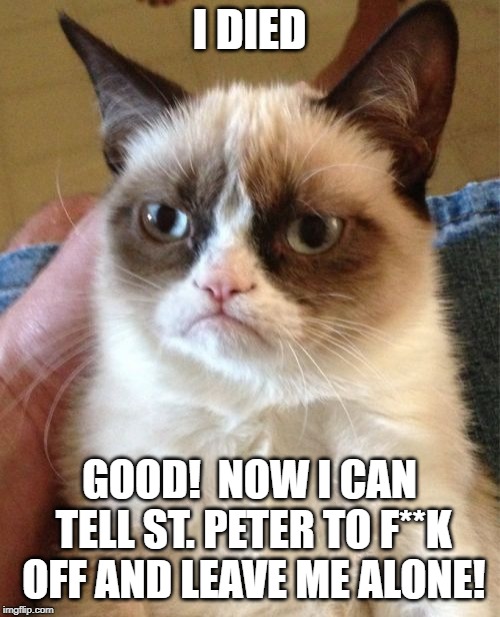 Grumpy Cat Meme | I DIED; GOOD!  NOW I CAN TELL ST. PETER TO F**K OFF AND LEAVE ME ALONE! | image tagged in memes,grumpy cat | made w/ Imgflip meme maker
