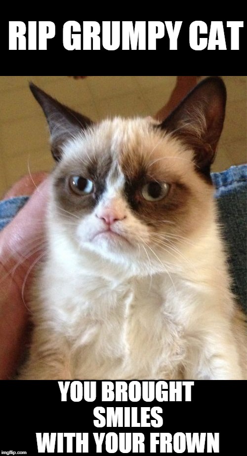 RIP Grumpy Cat | RIP GRUMPY CAT; YOU BROUGHT SMILES WITH YOUR FROWN | image tagged in memes,grumpy cat | made w/ Imgflip meme maker