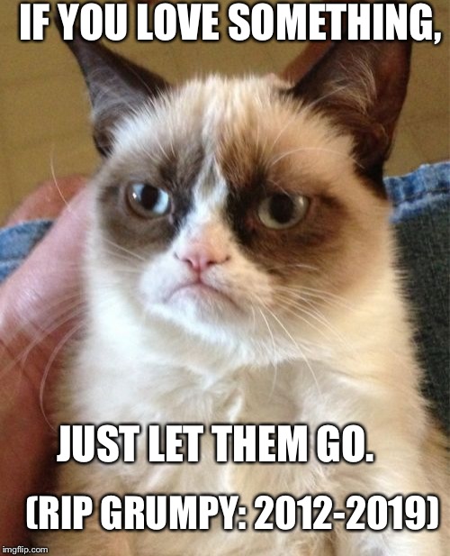 You shall be remembered, even your smile... :(    (2012-2019) | IF YOU LOVE SOMETHING, JUST LET THEM GO. (RIP GRUMPY: 2012-2019) | image tagged in memes,grumpy cat,rip | made w/ Imgflip meme maker