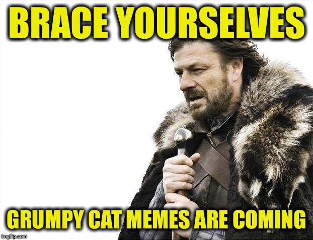 Brace Yourselves X is Coming Meme | BRACE YOURSELVES; GRUMPY CAT MEMES ARE COMING | image tagged in memes,brace yourselves x is coming | made w/ Imgflip meme maker