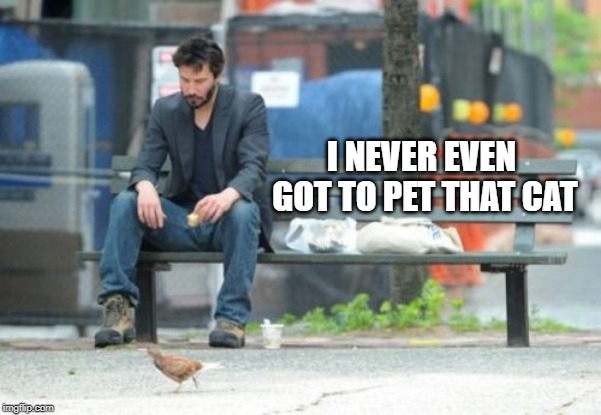 Sad Keanu Meme | I NEVER EVEN GOT TO PET THAT CAT | image tagged in memes,sad keanu | made w/ Imgflip meme maker