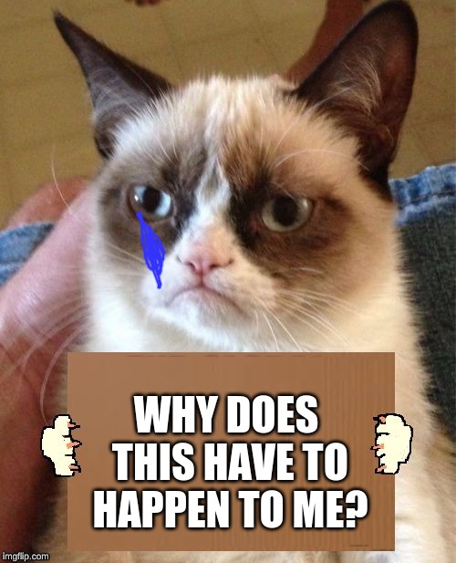Grumpy Cat Cardboard Sign | WHY DOES THIS HAVE TO HAPPEN TO ME? | image tagged in grumpy cat cardboard sign | made w/ Imgflip meme maker