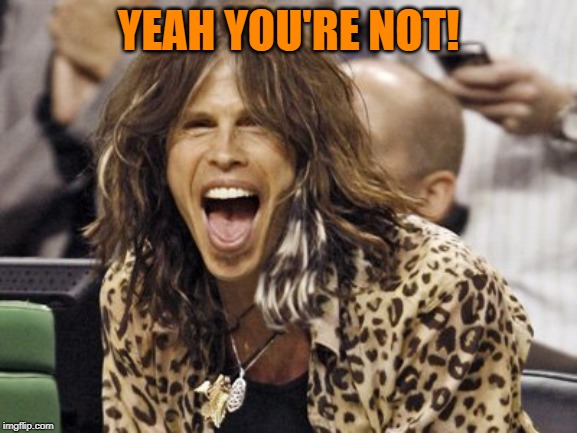 Steven Tyler | YEAH YOU'RE NOT! | image tagged in steven tyler | made w/ Imgflip meme maker
