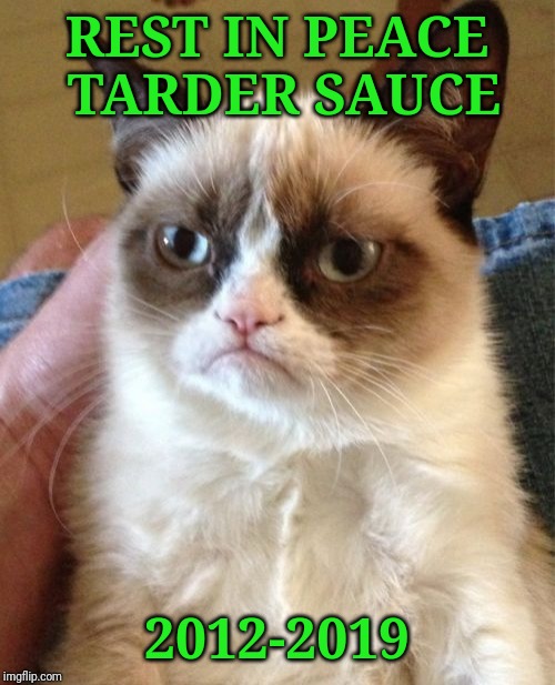 Grumpy Cat is no longer with us. | REST IN PEACE TARDER SAUCE; 2012-2019 | image tagged in memes,grumpy cat,rip,cat | made w/ Imgflip meme maker