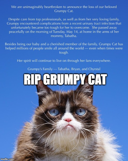 Rest In Peace Grumpy Cat. | RIP GRUMPY CAT | image tagged in grumpy cat | made w/ Imgflip meme maker