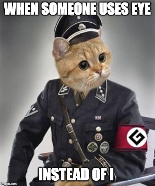 Grammar Nazi Cat | WHEN SOMEONE USES EYE; INSTEAD OF I | image tagged in grammar nazi cat | made w/ Imgflip meme maker