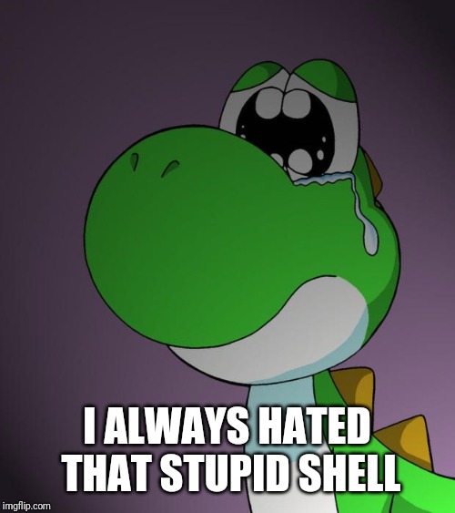 Sad Yoshi | I ALWAYS HATED THAT STUPID SHELL | image tagged in sad yoshi | made w/ Imgflip meme maker