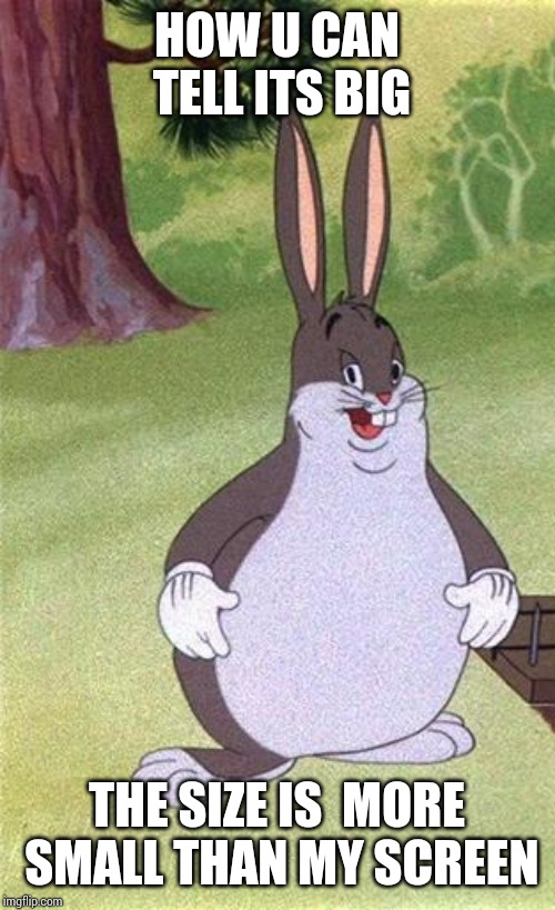 Big Chungus | HOW U CAN TELL ITS BIG; THE SIZE IS 
MORE SMALL THAN MY SCREEN | image tagged in big chungus | made w/ Imgflip meme maker