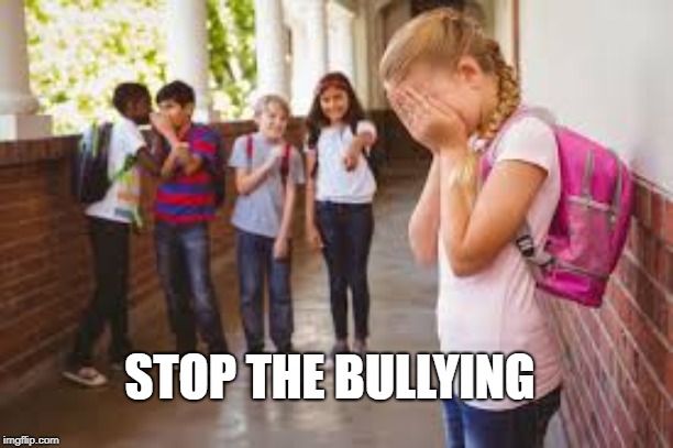 stop bullying | STOP THE BULLYING | image tagged in stop bullying | made w/ Imgflip meme maker