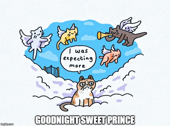 No meme here, may Grumpycat rest in peace | GOODNIGHT SWEET PRINCE | image tagged in grumpy cat | made w/ Imgflip meme maker