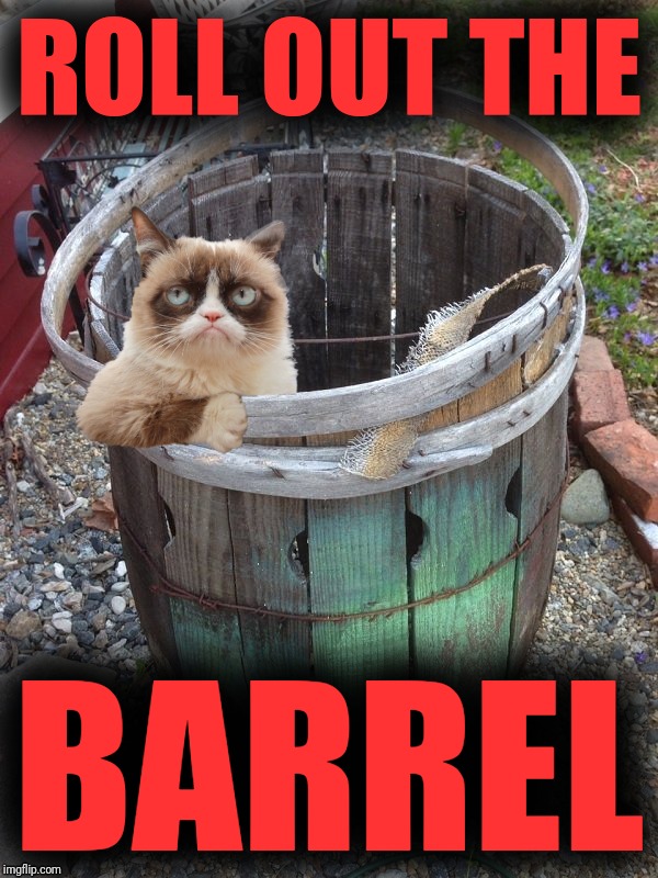 Grumpy Cat Barrel | ROLL OUT THE BARREL | image tagged in grumpy cat barrel | made w/ Imgflip meme maker