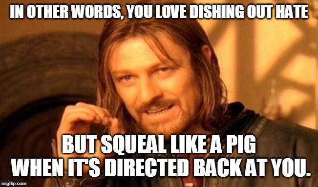 One Does Not Simply Meme | IN OTHER WORDS, YOU LOVE DISHING OUT HATE BUT SQUEAL LIKE A PIG WHEN IT'S DIRECTED BACK AT YOU. | image tagged in memes,one does not simply | made w/ Imgflip meme maker