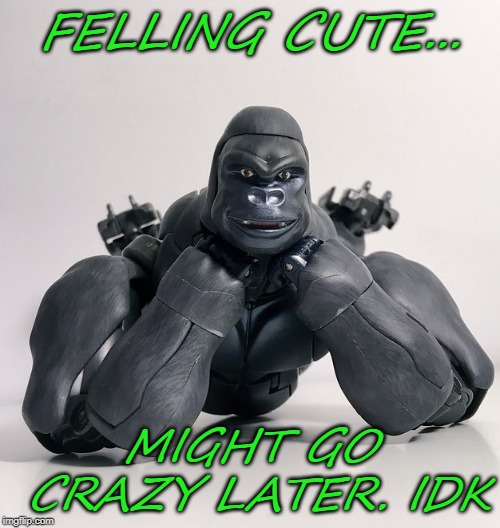 FELLING CUTE... MIGHT GO CRAZY LATER. IDK | made w/ Imgflip meme maker