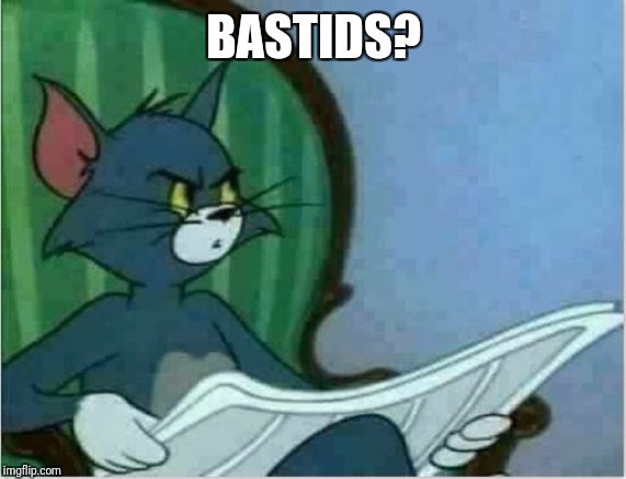 Interrupting Tom's Read | BASTIDS? | image tagged in interrupting tom's read | made w/ Imgflip meme maker