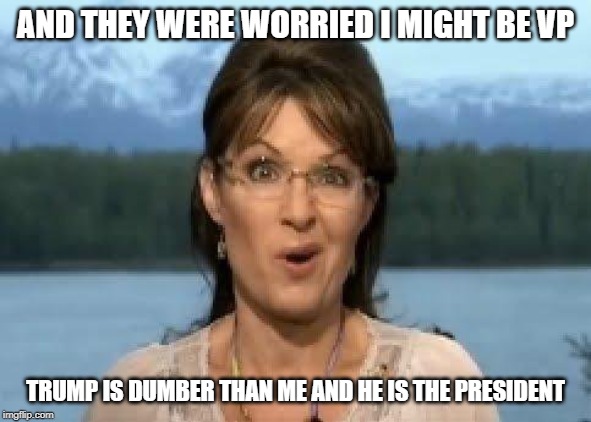 Sarah Palin | AND THEY WERE WORRIED I MIGHT BE VP TRUMP IS DUMBER THAN ME AND HE IS THE PRESIDENT | image tagged in sarah palin | made w/ Imgflip meme maker