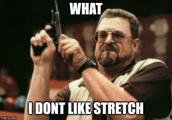Am I The Only One Around Here Meme | WHAT; I DONT LIKE STRETCH | image tagged in memes,am i the only one around here | made w/ Imgflip meme maker