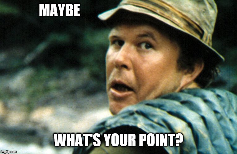 Ned Beatty Deliverance | MAYBE WHAT'S YOUR POINT? | image tagged in ned beatty deliverance | made w/ Imgflip meme maker