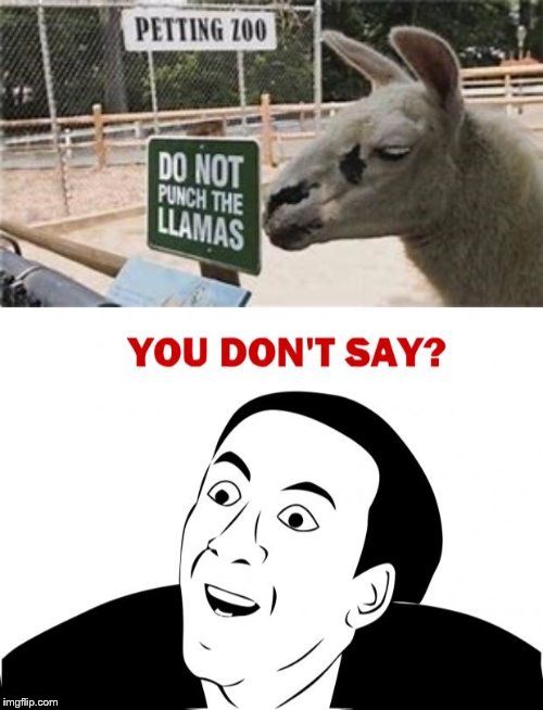 "Don't Punch Llamas Kids" May 12- May 18 a Dankmaster546 and 1forpeace event | image tagged in you don't say,llamas,we dont do that here,punch,stupid signs,what the hell | made w/ Imgflip meme maker