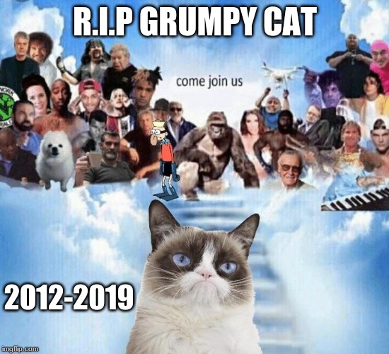 Rest In Peace | R.I.P GRUMPY CAT; 2012-2019 | image tagged in grumpy cat,meme heaven | made w/ Imgflip meme maker
