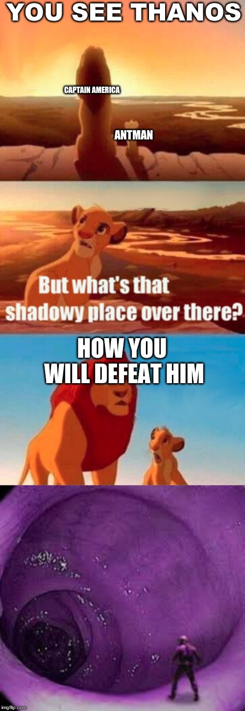 YOU SEE THANOS; CAPTAIN AMERICA; ANTMAN; HOW YOU WILL DEFEAT HIM | image tagged in memes,simba shadowy place | made w/ Imgflip meme maker