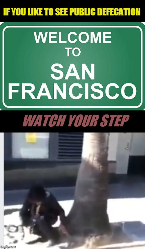 The Brown Town | IF YOU LIKE TO SEE PUBLIC DEFECATION; WATCH YOUR STEP | image tagged in san francisco,public defecation,poop,politics,nancy pelosi | made w/ Imgflip meme maker