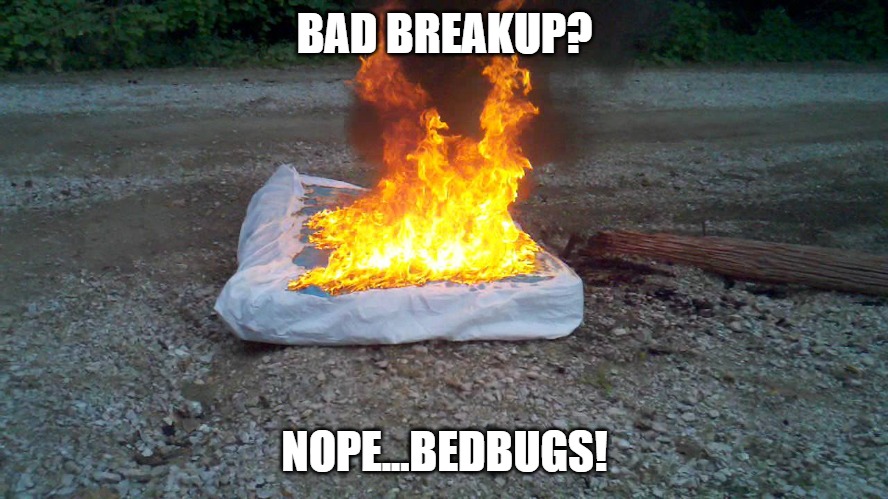 The Burning Bed | BAD BREAKUP? NOPE...BEDBUGS! | image tagged in mattress fire,bedbugs,heat kills,fire,fire bad | made w/ Imgflip meme maker