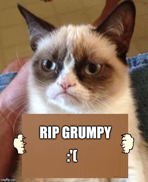 She will forever be remembered | RIP GRUMPY; :'( | image tagged in grumpy cat cardboard sign,sad,why god why,rip | made w/ Imgflip meme maker