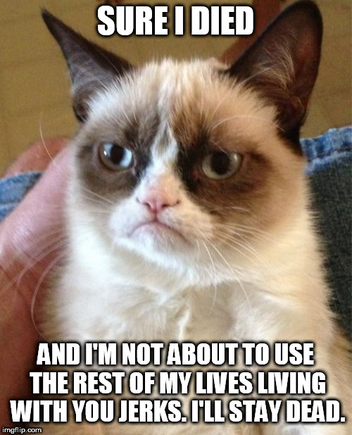 Rest in peace | SURE I DIED; AND I'M NOT ABOUT TO USE THE REST OF MY LIVES LIVING WITH YOU JERKS. I'LL STAY DEAD. | image tagged in memes,grumpy cat,society | made w/ Imgflip meme maker