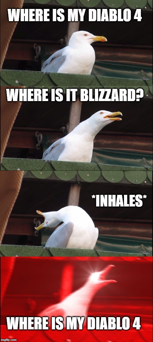 Inhaling Seagull | WHERE IS MY DIABLO 4; WHERE IS IT BLIZZARD? *INHALES*; WHERE IS MY DIABLO 4 | image tagged in memes,inhaling seagull | made w/ Imgflip meme maker