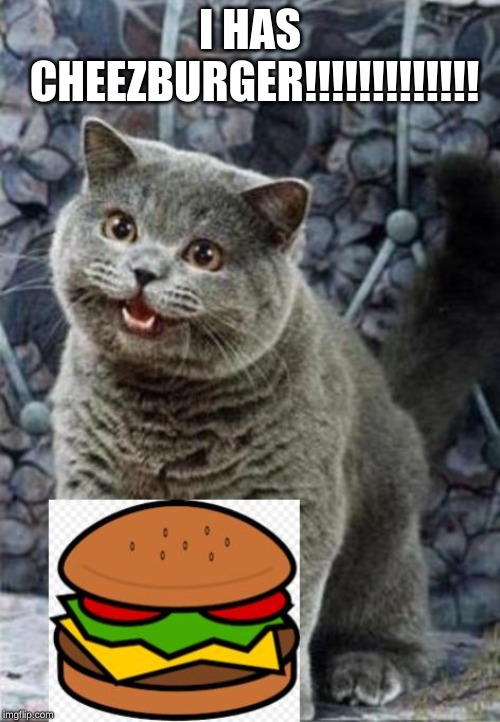 Cheezburger Cat has been satisfied | I HAS CHEEZBURGER!!!!!!!!!!!!! | image tagged in i can has cheezburger cat | made w/ Imgflip meme maker